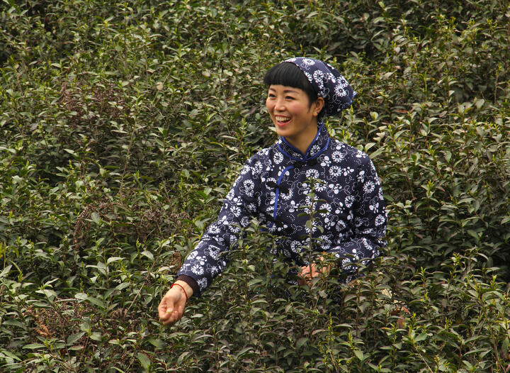 艳舞直播间